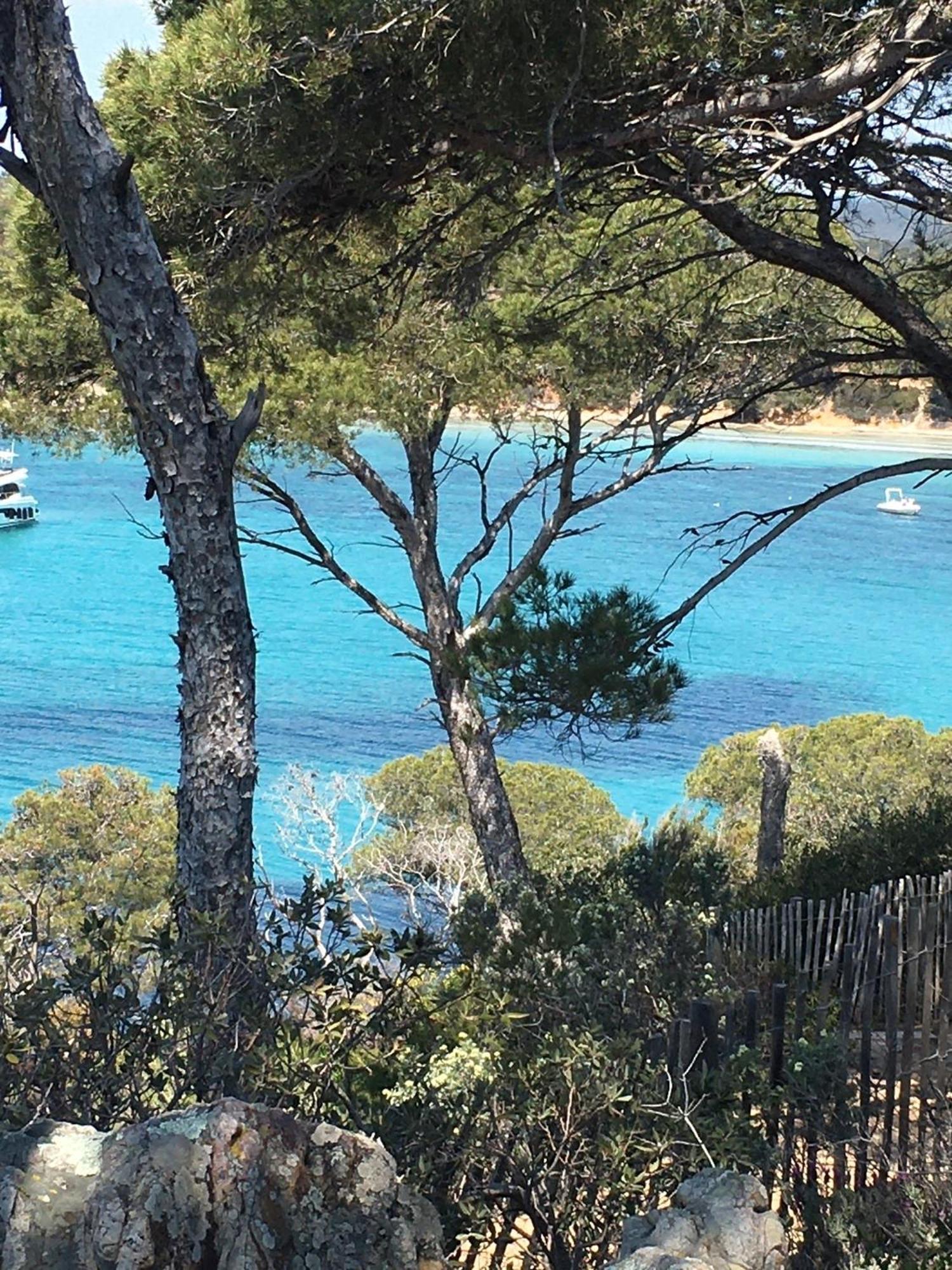 T3 Front De Mer Dernier Etage Vue Mer Petit Havre De Paix Pour Vos Vacances Emplacement Unique Vue Mer Panoramique A 180 Degres Pour Ce T3 En Face De La Plage Front De Mer Vue Sur Les Iles 5 Et Dernier Etage Avec Ascenseur Le Lavandou Exterior photo